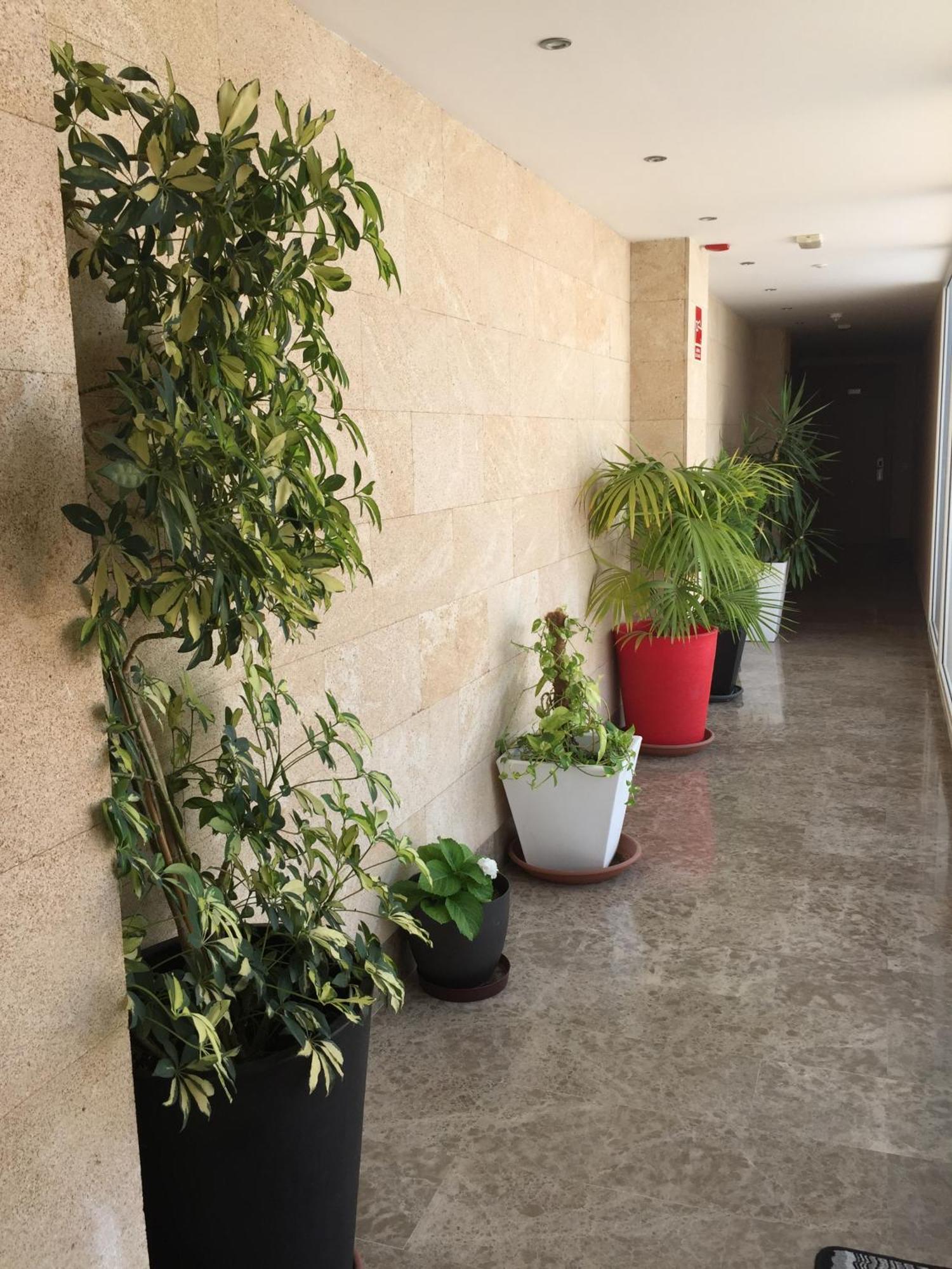 Apartamentos Parking Mérida Dış mekan fotoğraf